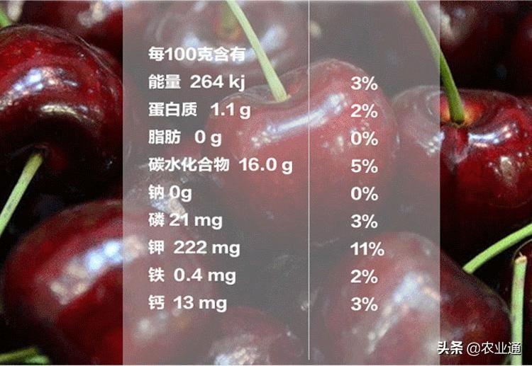 车厘子适合什么地方种植（南方种车厘子能结果吗）