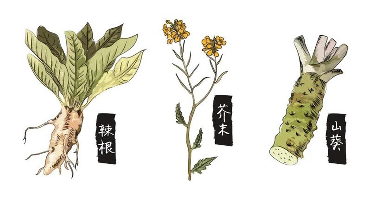 辣根和芥末的区别（芥末和辣根有什么不一样？）